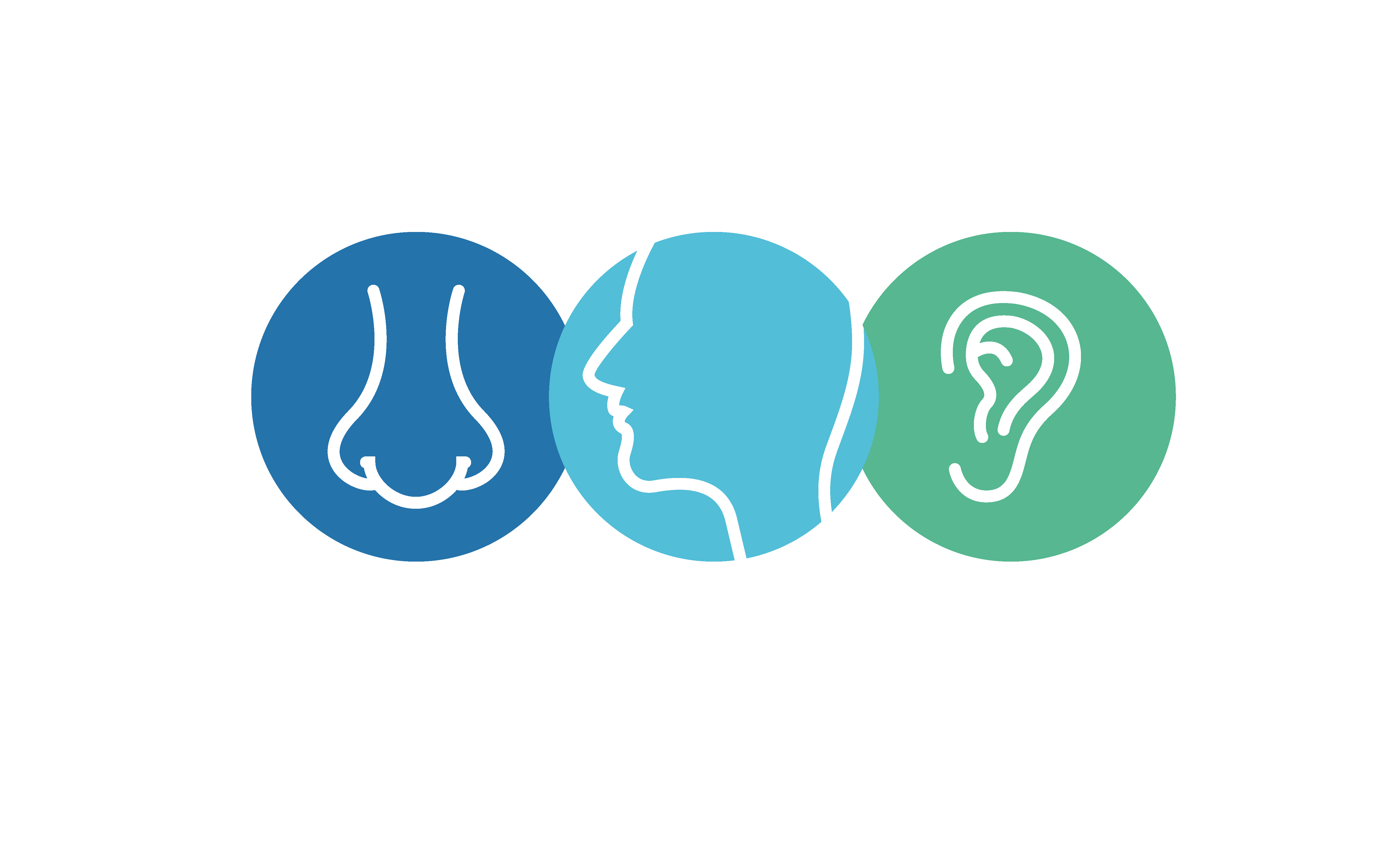 Dr. Roxana Gavris - ORL